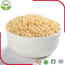 New Crop White Sesame für den Verkauf